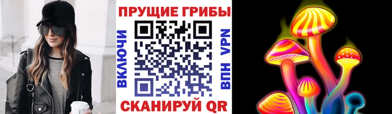 Галлюциногенные грибы GOLDEN TEACHER  хочу наркоту  Серафимович 